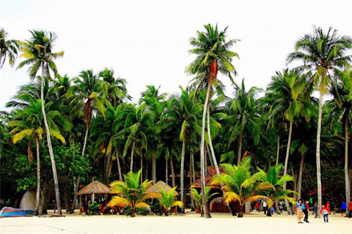 波比艾斯冰淇淋