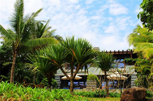 抹茶王子炒酸奶