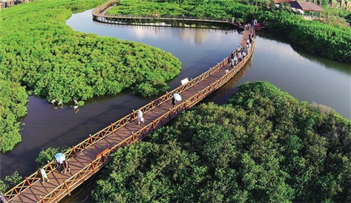 大于等于酸菜鱼