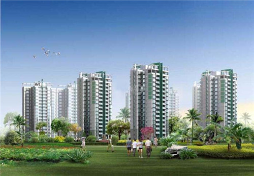 张班长新派粗粮拌饭