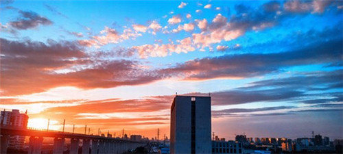 泡沫剧奶茶2025可不可以加盟