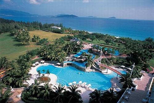 炒油豆腐鸡肉怎么炒（油豆腐烧鸡肉）