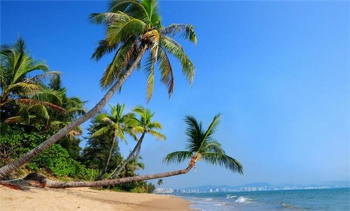 沙拉加盟店加盟什么好